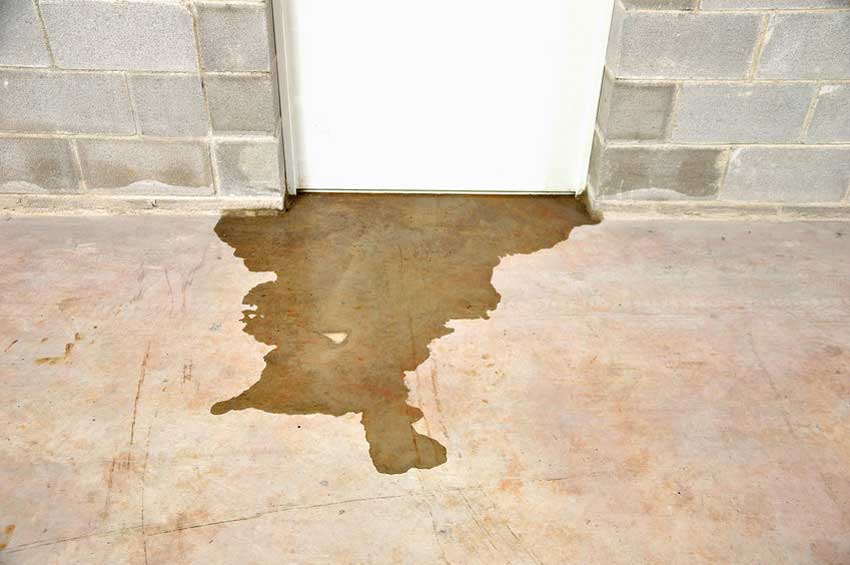 Too much water in yard – Little’s