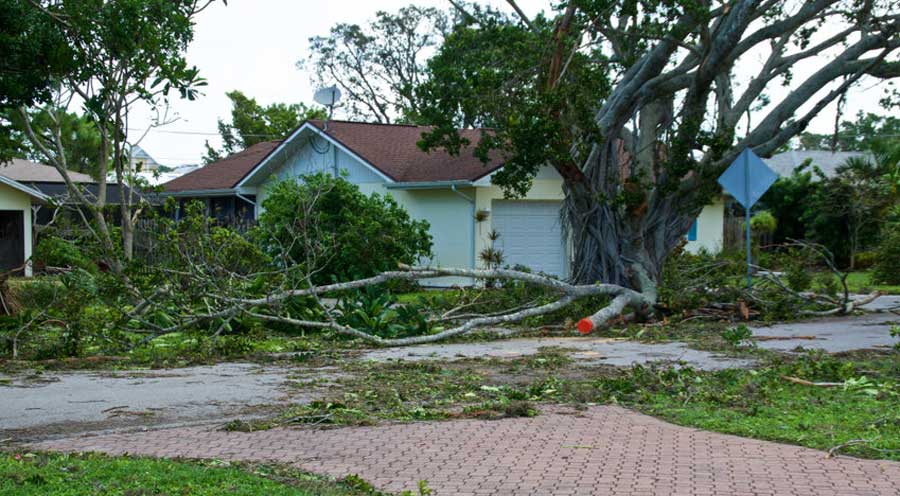 Storm Damage – LIttle’s