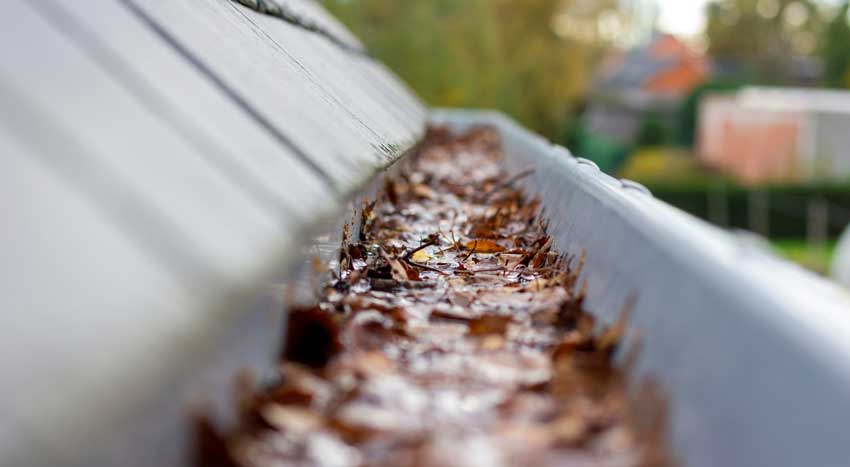 Gutter Drains – Little’s