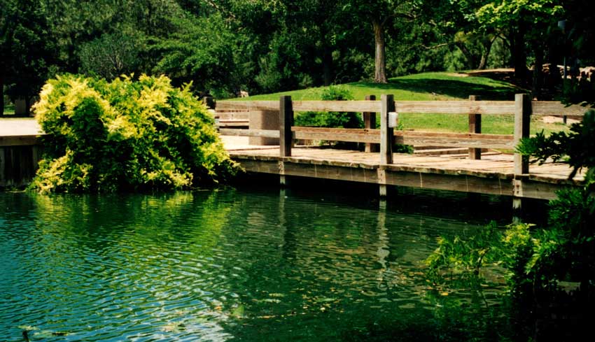 Pond – Little’s